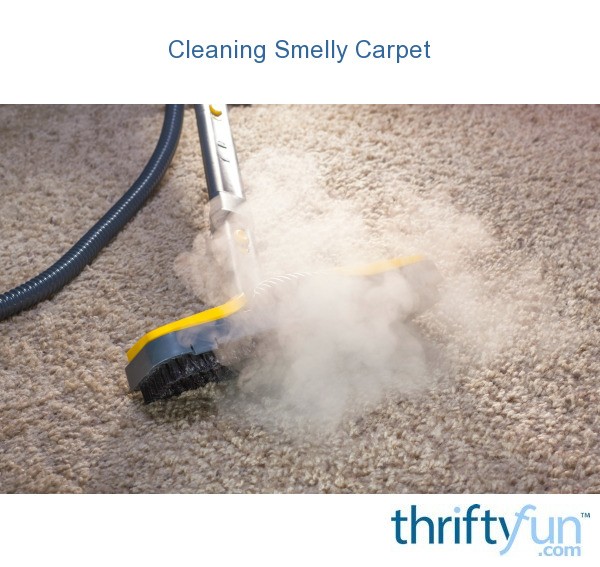 Cleaning Smelly Carpet ThriftyFun