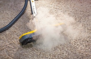 Steam Cleaning Smelly Carpet