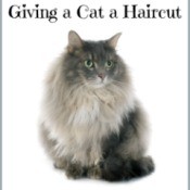 Giving a Cat a Haircut