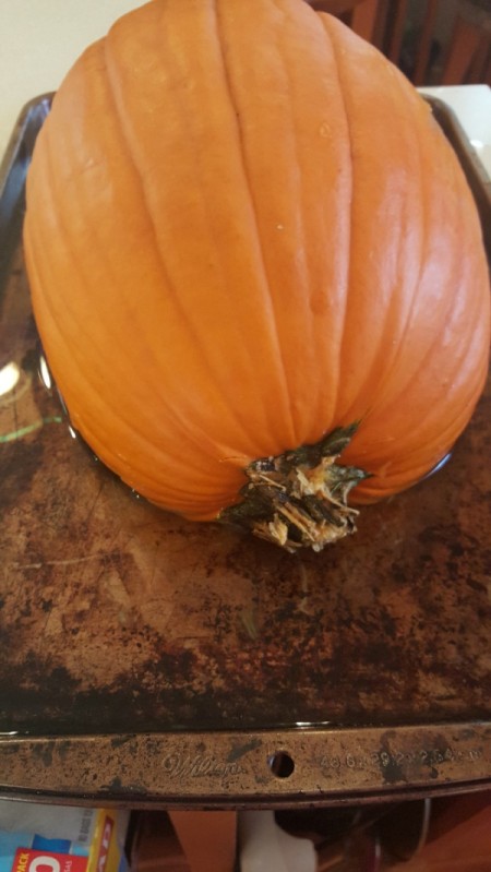 Homemade Rustic Pumpkin Pie
