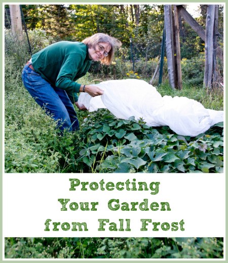 Preparing Your Garden for Winter | ThriftyFun