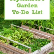 September's Garden To-Do List