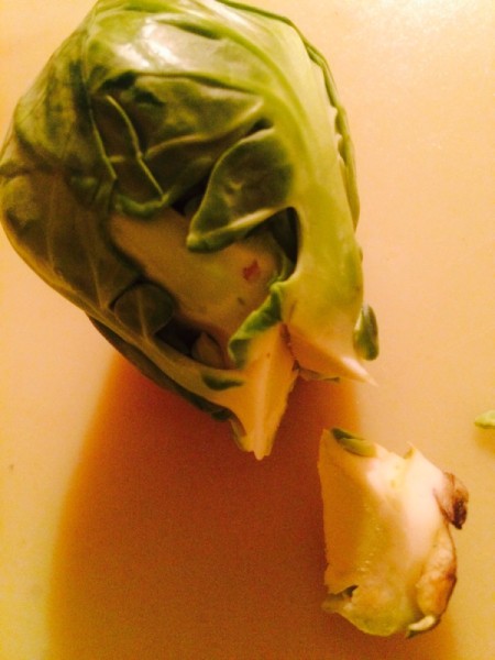 Best Bacon Brussels Sprouts