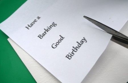 Dog Lover's Greetings Card