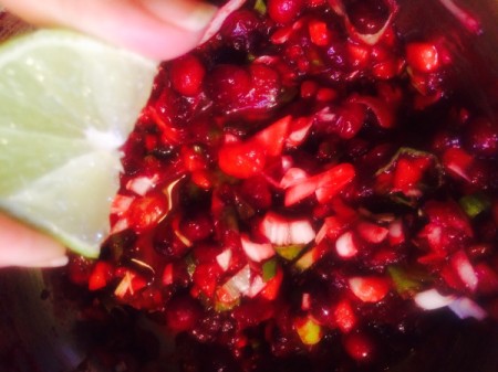 Cranberry Salsa