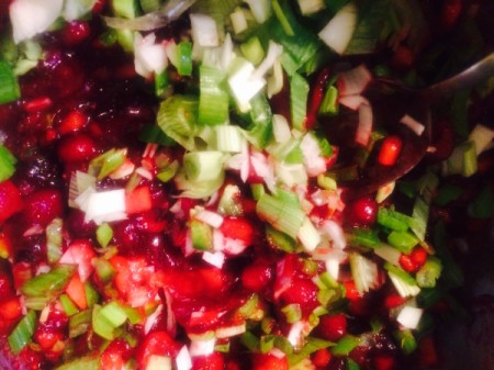 Cranberry Salsa