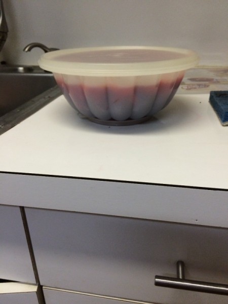 Cranberry-Pineapple Mold