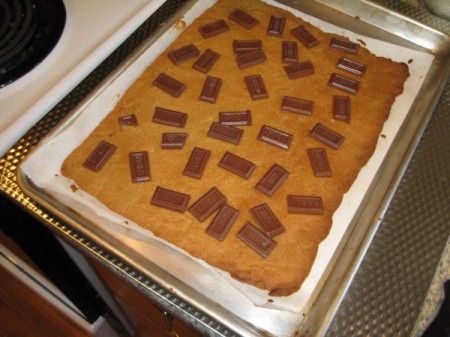 Toffee Squares