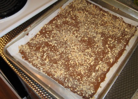 Toffee Squares