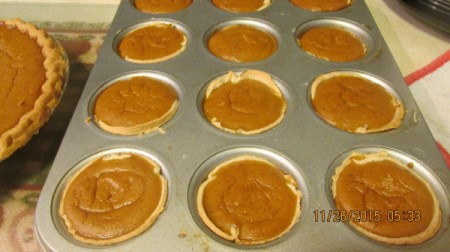 Miniature Pumpkin Pies