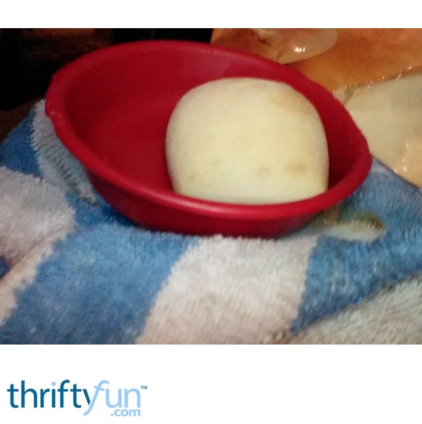 Cook Frozen Dinner Rolls in the Microwave ThriftyFun