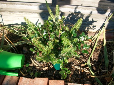 Cemetery Decoration for Christmas