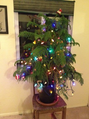 Alternative Christmas Trees