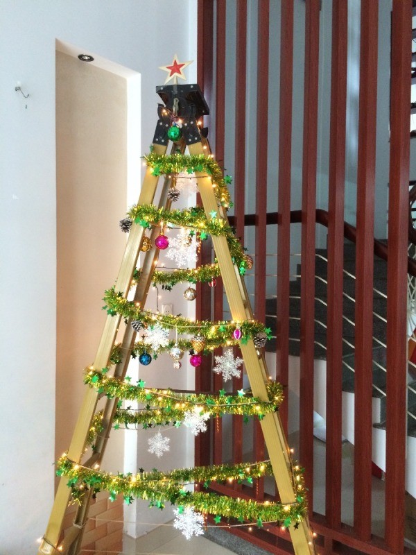 Alternatives to Having a Christmas Tree  ThriftyFun