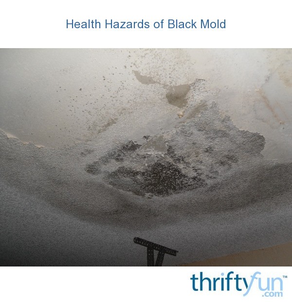 Health Hazards Of Black Mold Thriftyfun