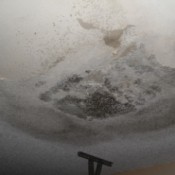 mold on garage ceiling