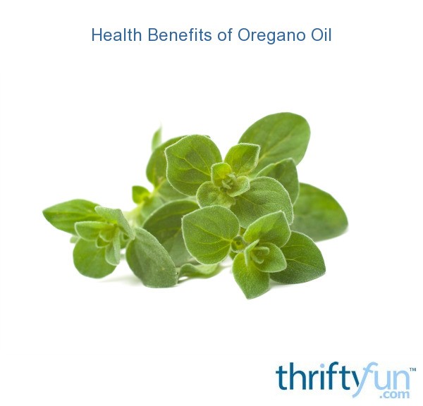 Health Benefits of Oregano Oil? | ThriftyFun