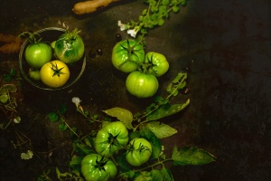 green tomatoes