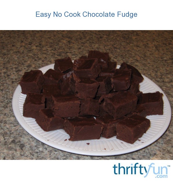 Easy No Cook Chocolate Fudge ThriftyFun