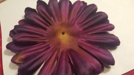 back or underside of flower