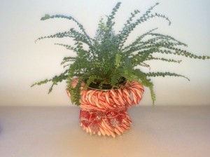 Candy Cane Planter