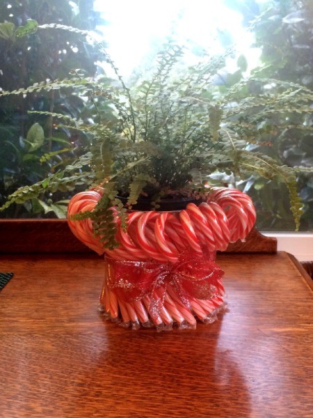 Candy Cane Planter