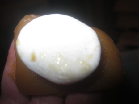 Chocolate-Covered Caramallows