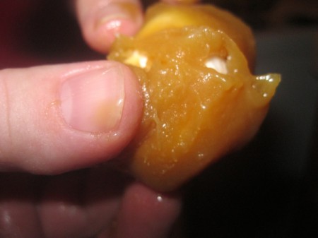 Chocolate-Covered Caramallows