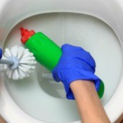 Cleaning a Very Dirty Toilet