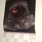 Repurposing Calendar Pictures