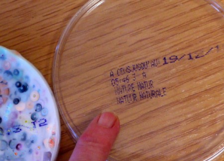 Glue and Sequin Sun Catcher