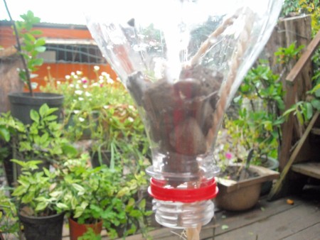 Recycled Plastic Bottle Herb Planters