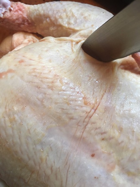 Crispiest Roast Chicken - cutting marks in bottom of chicken