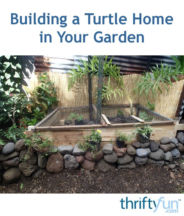 Building a Turtle Home in Your Garden | ThriftyFun