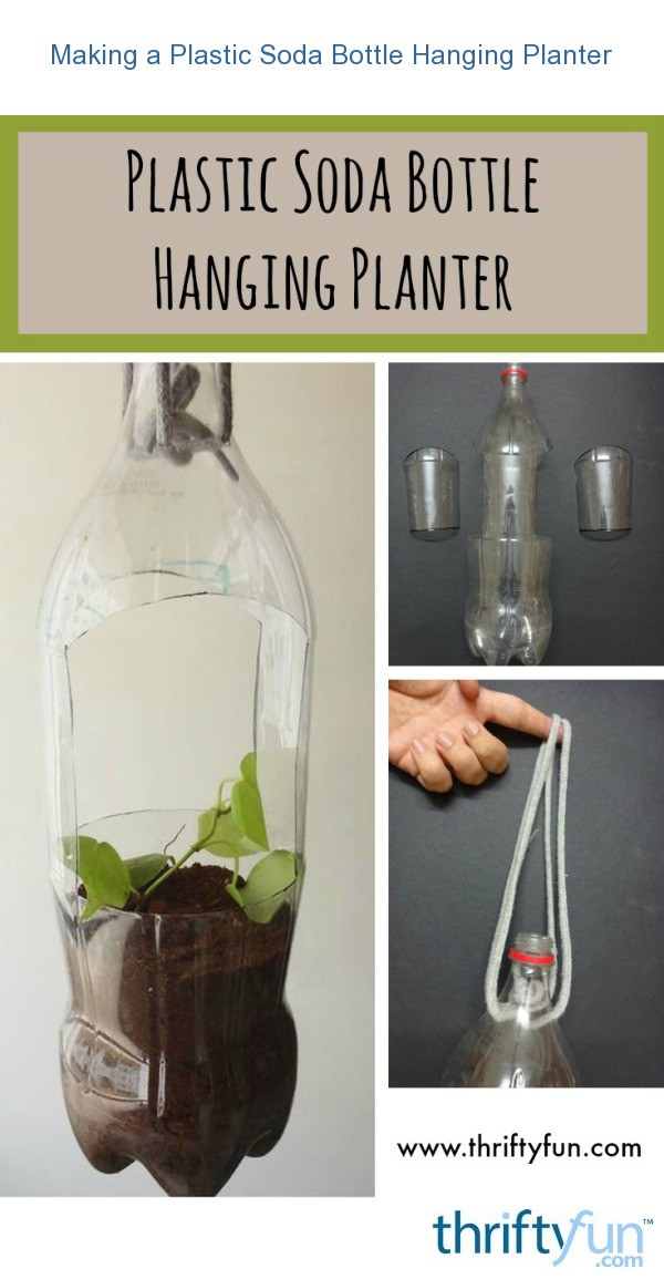 Making a Plastic Soda Bottle Hanging Planter | ThriftyFun