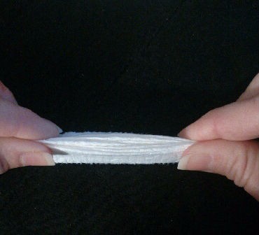 Toilet Paper Origami Fan