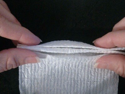 toilet paper origami easy