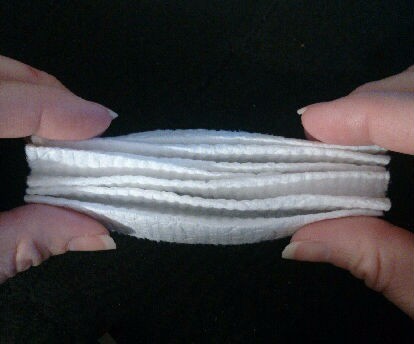 Toilet Paper Origami Fan