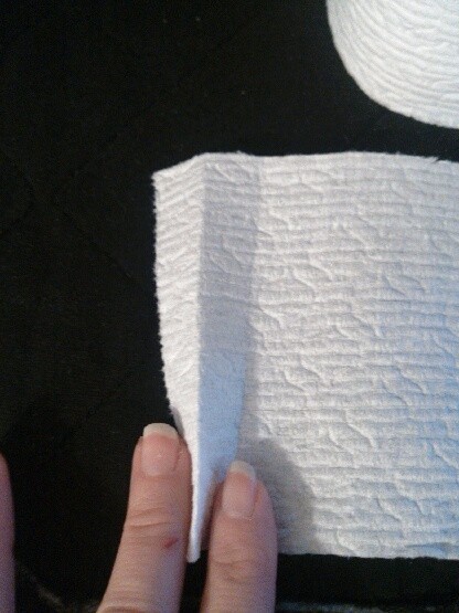 Toilet Paper Origami Fan