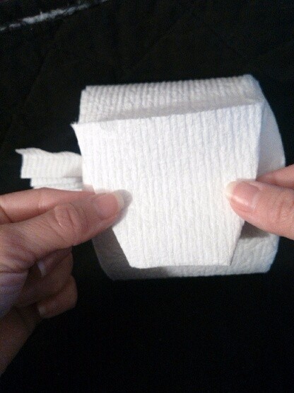 Toilet Paper Origami Fan