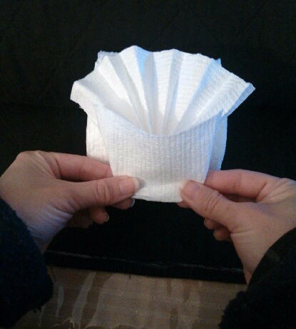 Toilet Paper Origami Fan