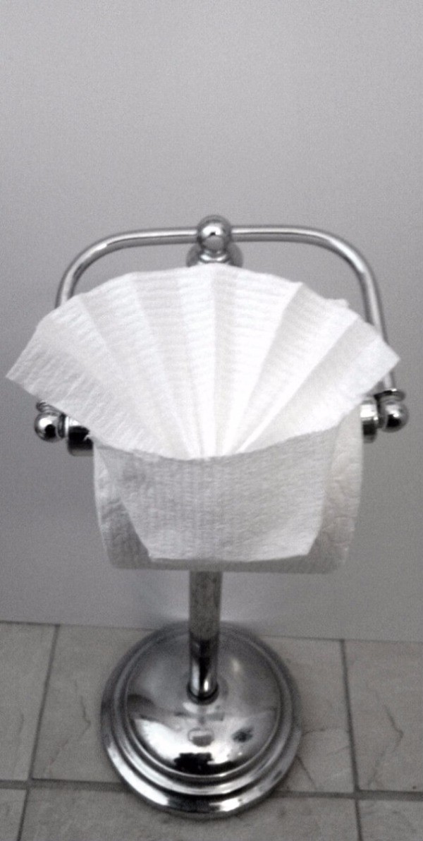 Making a Toilet Paper Origami Fan ThriftyFun