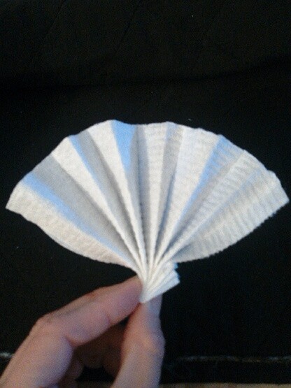 Toilet Paper Origami Fan