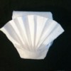 Toilet Paper Origami Fan