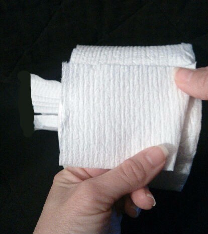 Toilet Paper Origami Fan