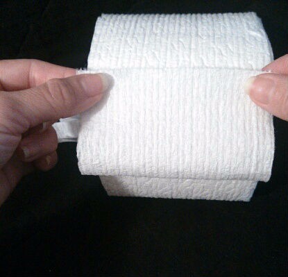 Toilet Paper Origami Fan