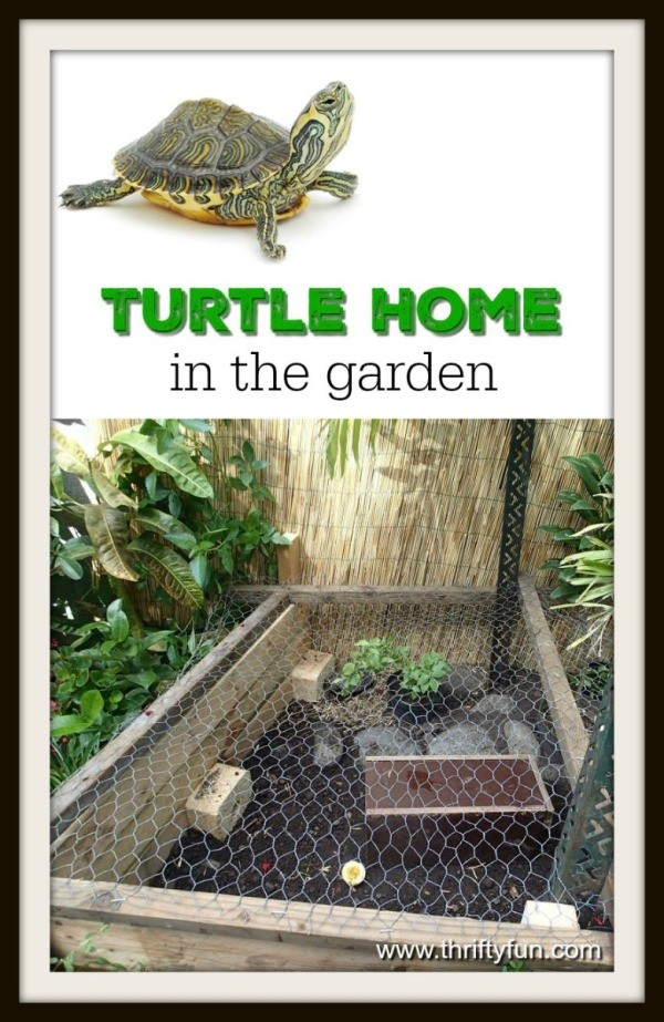 related guides turtle cake recipes building a garden pond turtle bread ...