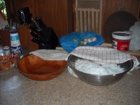 Making Fresh Coconut Milk