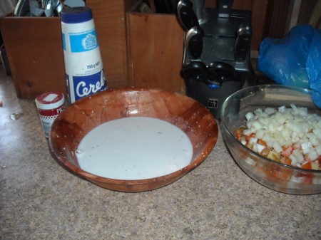 Making Fresh Coconut Milk