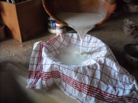 Making Fresh Coconut Milk